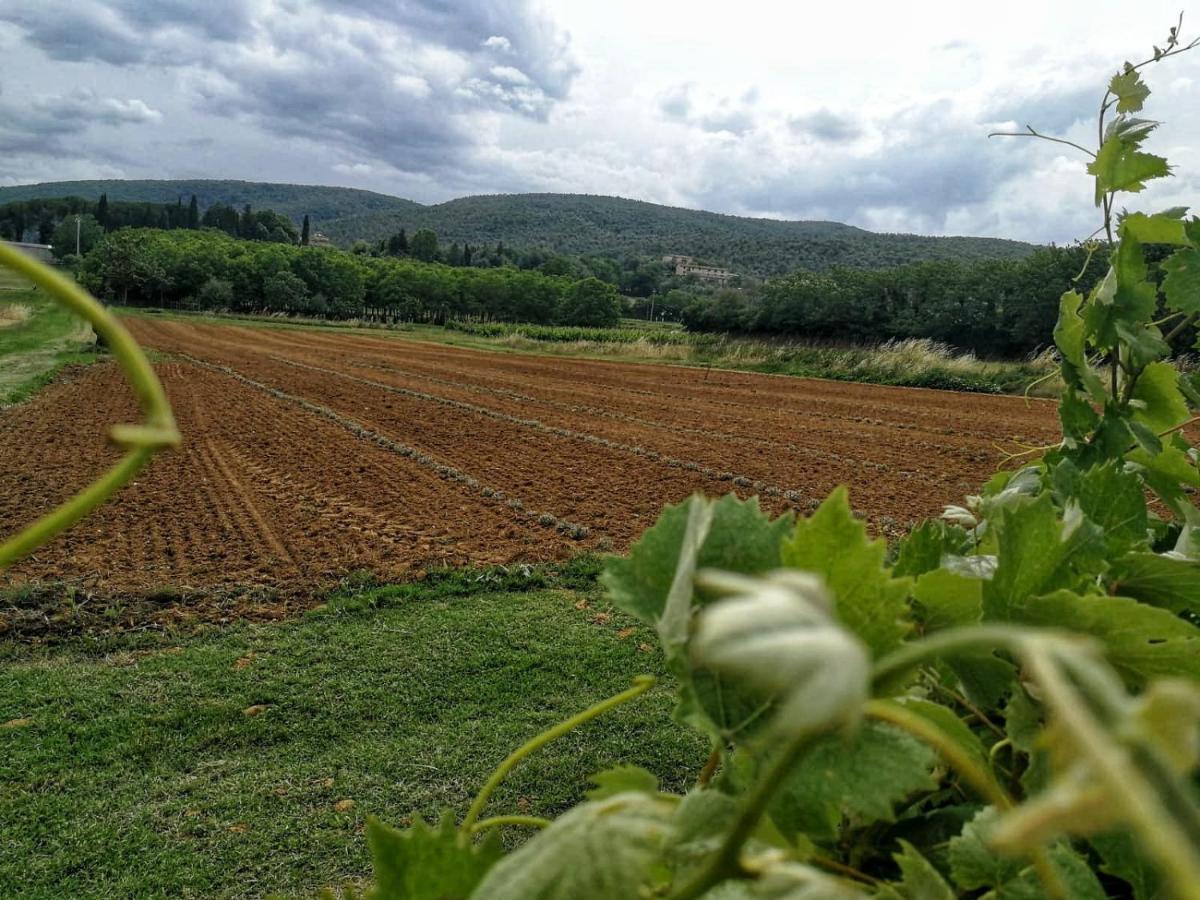 Claudia Vacanza Toscana - Appartamento Nocciolo- 10 Min Da Siena Malignano Εξωτερικό φωτογραφία